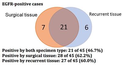 Temporal genomic heterogeneity guiding individualized therapy in recurrent non-small cell lung cancer